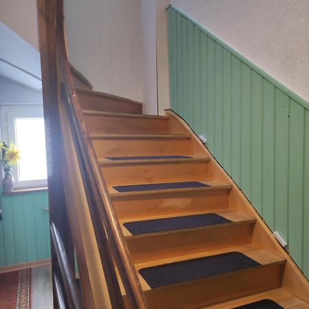 Kleine Gemuetliche Wohnung Zwickau Exteriör bild