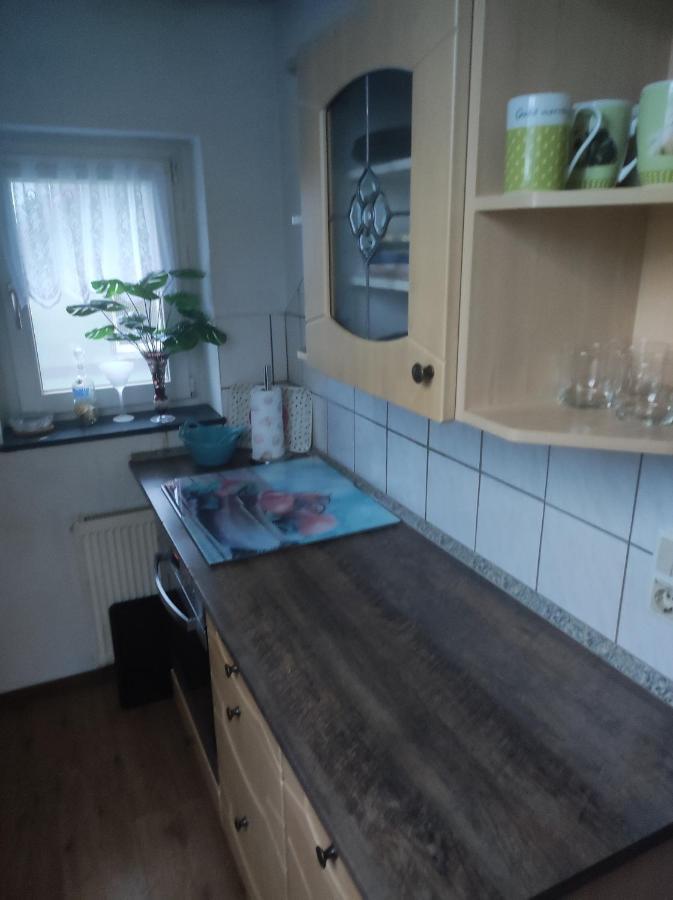Kleine Gemuetliche Wohnung Zwickau Exteriör bild