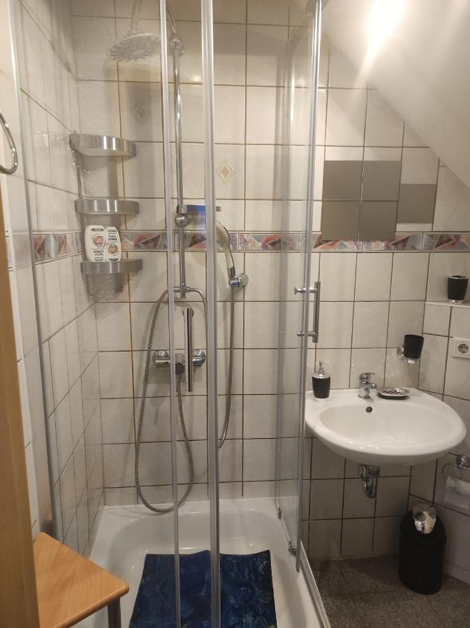 Kleine Gemuetliche Wohnung Zwickau Exteriör bild